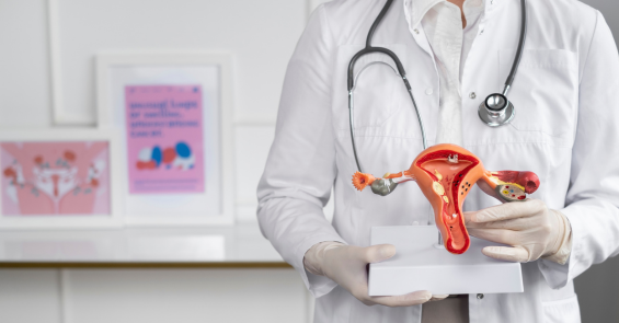2025 Global Women&rsquo;s Health Investment Hit A Record, But U.S. Investors Curb Their Enthusiasm